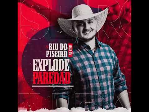 BIU DO PISEIRO - NO BECO OU NA CASINHA REPERTÓRIO NOVO