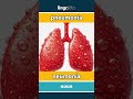 pneumonia - neumonía video thumbnail