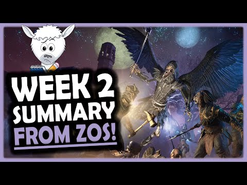 ☺️ Tons of Feedback from ZOS ❤️ Loving This! | Update 49 PTS
