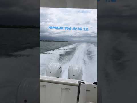 YAMAHA 300 Hp V6 2020