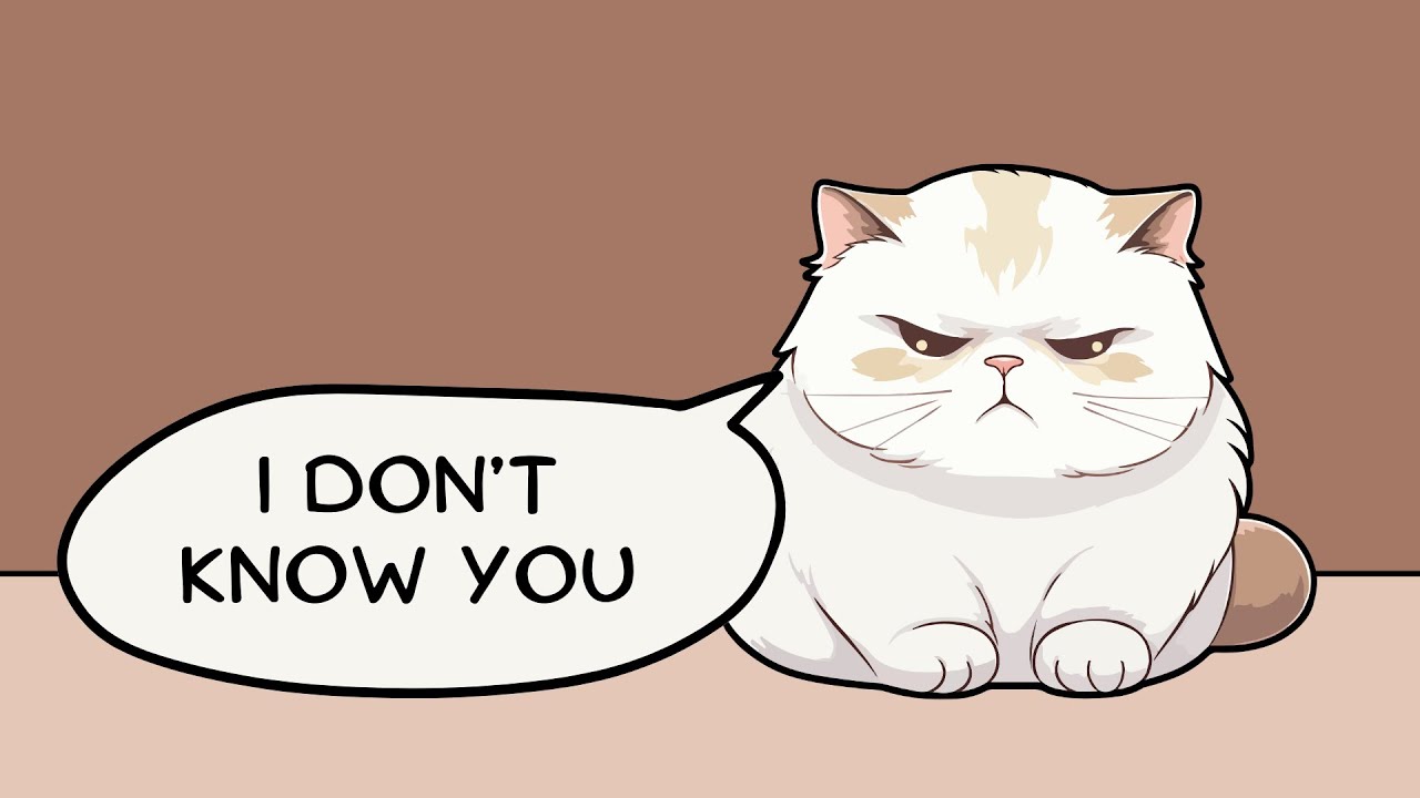 How Long Will a Cat Remember You? (Surprising Science!)