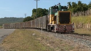 preview picture of video 'Cane train : Noisy little critter : Australian Railways'