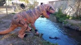 TRex vs Alligator  Feeding the Happy Gilmore Alligator
