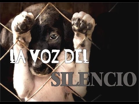 La voz del Silencio(EN CONTRA DEL MALTRATO ANIMAL)-Hc Handres 2022