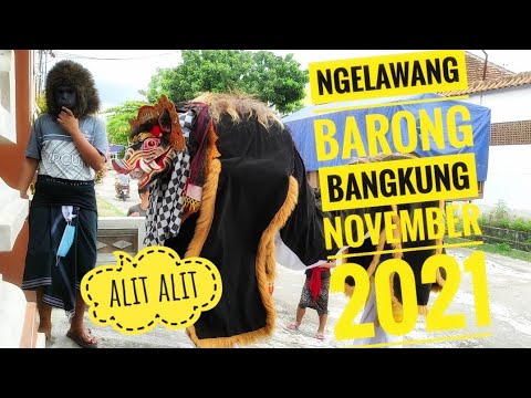ngelawang barong bangkung november 2021,nyangra hari raya galungan lan kuningan #barongbangkung