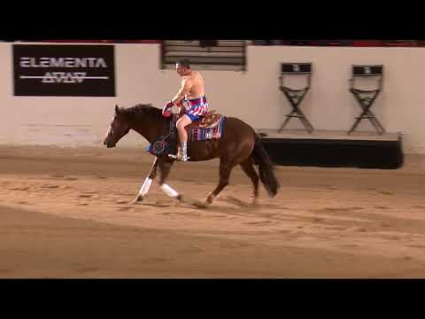 The Run For A Million: Andrea Fappani's Bridleless Freestyle Run With Custom Spook