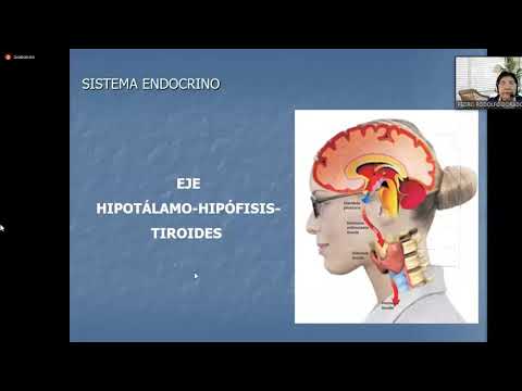 MOR112-B 16-08-21 ANATOMIA Y FISIOLOGIA