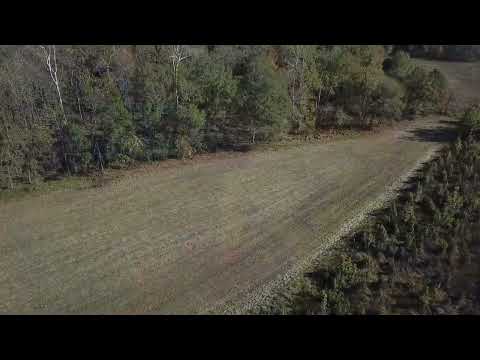 Archive 29 Video thumbnail