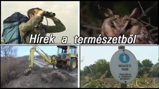 TERMÉSZET HÍREI