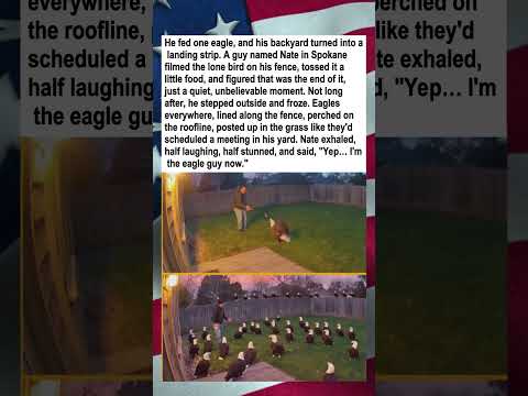 Fed One Eagle, Got Entire Flock