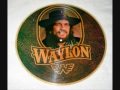 Waylon Jennings -  America