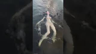 Download lagu [TIKTOK]Renang telanjang mp3