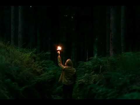 Prxz - Lost /David Kaene