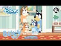 Bingo Heeft een Probleem! | Bluey | Disney Channel NL