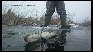 Щука на жерлицу отчет о рыбалке