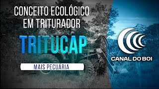 Miniatura do vídeo