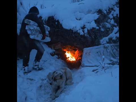 Snowstorm camping in extreme cold weather #survival #camping #snowcamp