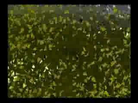 Wild Arms 3 - -023- - : Heading to Ka dingel