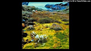 Jandek - The Story