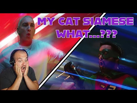 BALKAN RAP HEAD REACTS TO EMINEM - HOUDINI #eminem