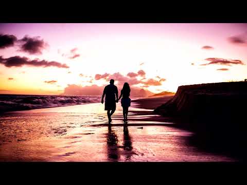 Let Me See Your Hands - Taynte