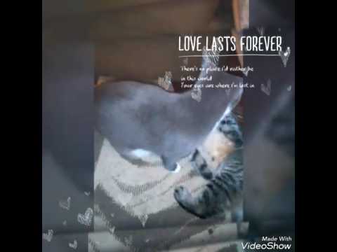 Love lasts forever!!