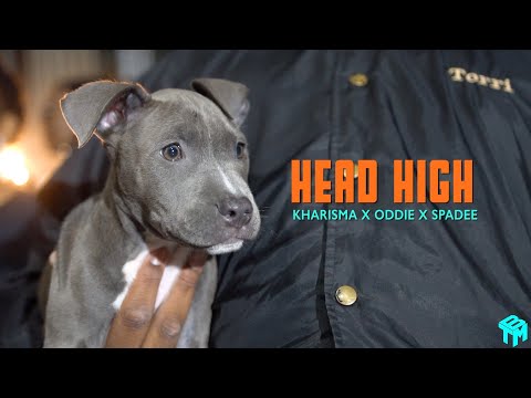 Head High - Kharisma x Oddie x Spadee