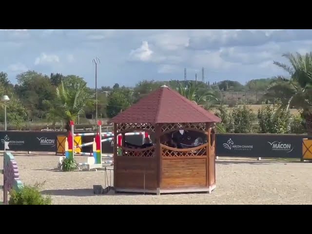 Cayenne @ show
