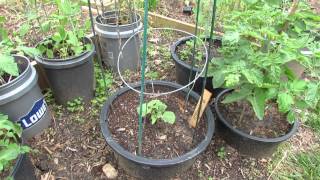 Small Space Container Gardening with 5 types of Vegetables - The Rusted Garden 2013