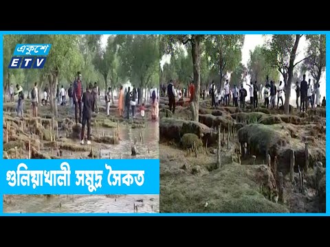 অপরূপ সৌন্দর্য গুলিয়াখালী সমুদ্র সৈকত