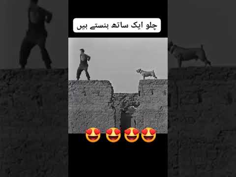 ya seen Kisi na dakha ha kia