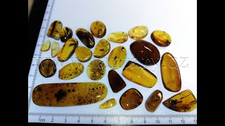  Křídový jantar SJ-82