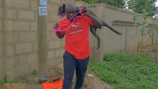 Download lagu EIII AKABENEZER STOLE BOSOM APONKYE . 😂😂😂PROBLEM NEVER FINISH😂😂😂 mp3