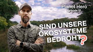 Planet Hero | Robert Marc Lehmann | Ökosysteme