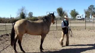 Mike Thomas &amp; Buckshot Day 1; Rope On, Big Changes with Feel, taking fear out of equation..