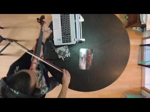 Banotek Violon Electronique Autodestruction-Programmée