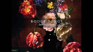 Boduf Songs - My Continuing Battle With Material Reality
