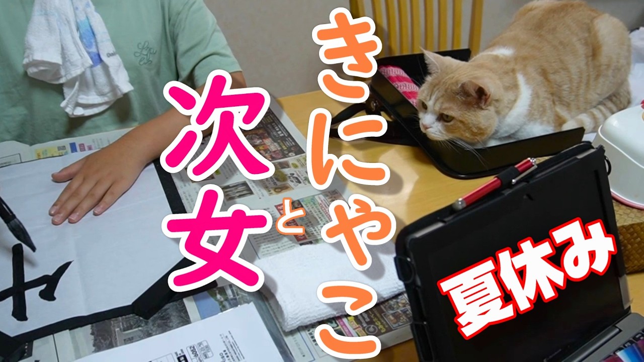 次女ときにゃこの夏休み～書道を邪魔する!?猫は憎めない【スコティッシュフォールド】【アビシニアン】