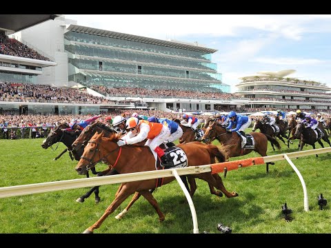 Horse Racing Global Live TV
