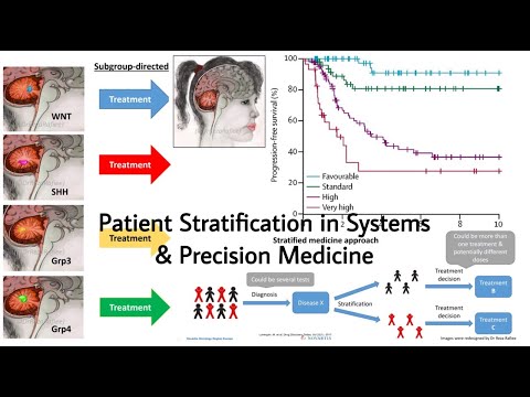Survival Analysis | Patient Stratification in Systems and Precision Medicine