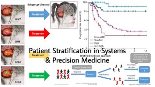 Survival Analysis | Patient Stratification in Systems and Precision Medicine