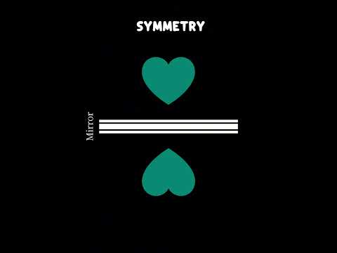 Symmetry in Physics - The Beginner’s Guide    #physicsshorts #symmetry #physics #lawsofnature