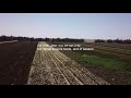 SJ5000 TV Out Video Recording