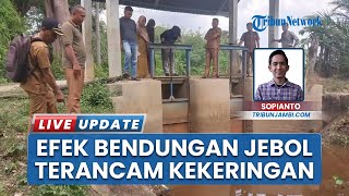 Petani Desa Betung Bedarah Timur Jambi Terancam Gagal Tanam, Bendungan Jebol Picu Kekeringan