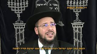 מעלת "גדולי ישראל " הגאון הרב יעקב ישראל הכהן שליט"א פרשת מטות מסעי תשפ"ה (דר וסוחרת - הלוויין של מרן) - התמונה מוצגת ישירות מתוך אתר האינטרנט יוטיוב. זכויות היוצרים בתמונה שייכות ליוצרה. קישור קרדיט למקור התוכן נמצא בתוך דף הסרטון מעלת "גדולי ישראל " הגאון הרב יעקב ישראל הכהן שליט"א פרשת מטות מסעי תשפ"ה (דר וסוחרת - הלוויין של מרן) - התמונה מוצגת ישירות מתוך אתר האינטרנט יוטיוב. זכויות היוצרים בתמונה שייכות ליוצרה. קישור קרדיט למקור התוכן נמצא בתוך דף הסרטון