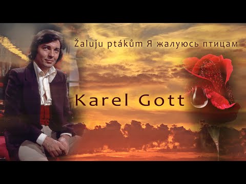 KAREL GOTT Žaluju ptákům Я жалуюсь птицам