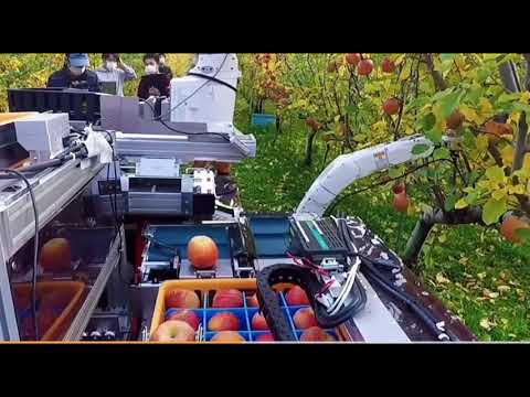 Apple picker robot