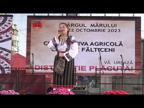 Târgul Mărului 2023 - Spectacol (29)