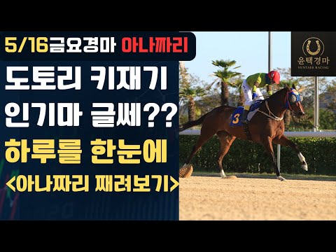 5/16 금요-윤택-경마 아나짜리 인기마는 있어도 능력마 없는 하루