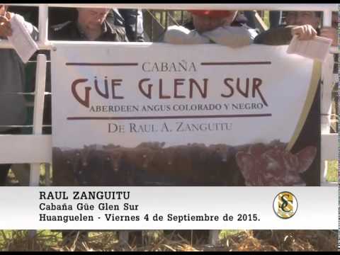 04-09-15 Nota Raul Zanguitu - Cabaña Güe-Glen Sur - Huanguelen.